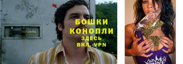 амф Аркадак