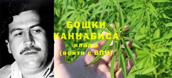 амф Аркадак