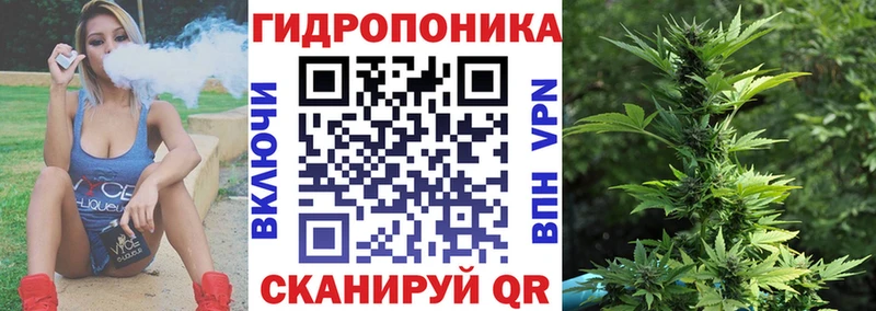 Бошки марихуана план Серафимович